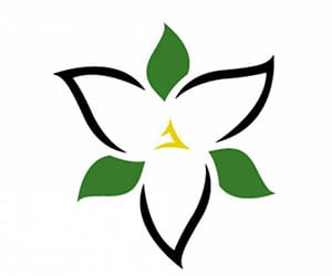 Demerit-Point-Logo